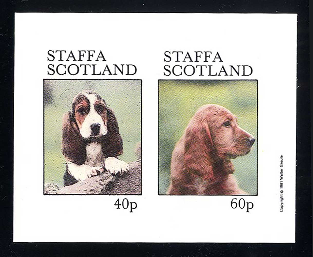 Staffa Dog Portraits Imperf