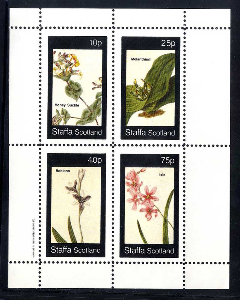 Staffa Flowering Plants
