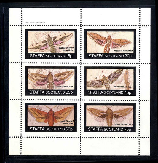 Staffa British Moths