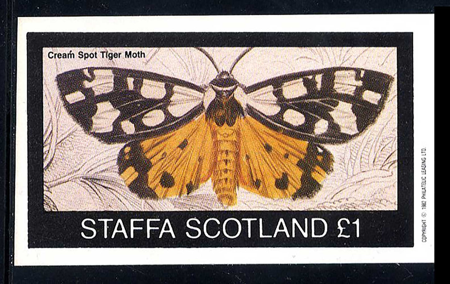 Staffa British Moths £1