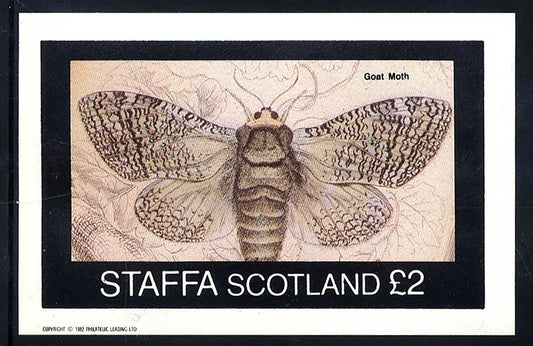 Staffa British Moths £2