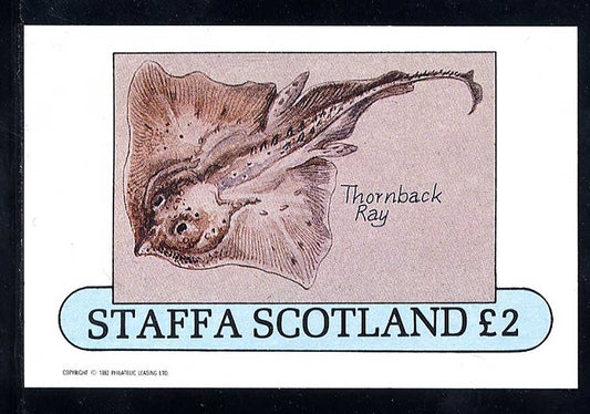 Staffa Sea Fish £2