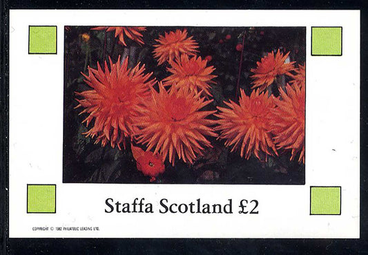 Staffa Field Flowers I £2