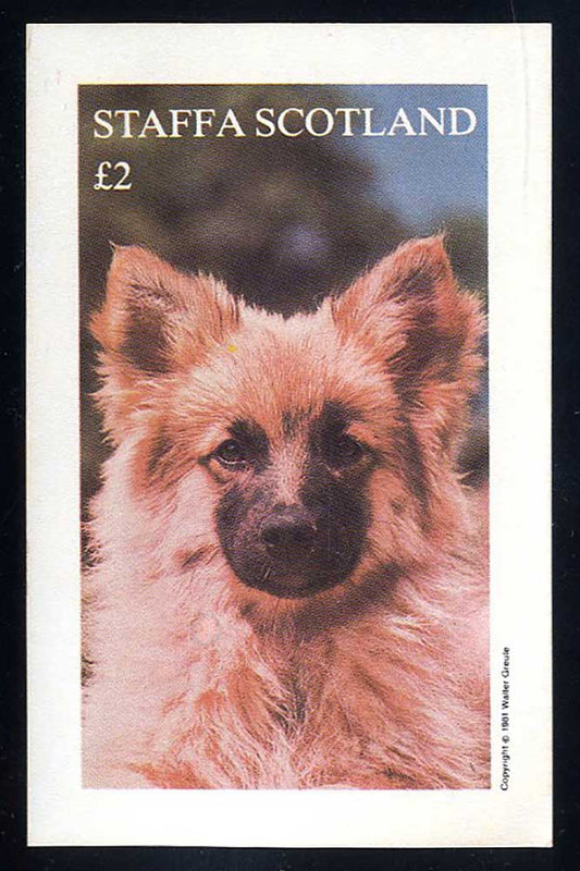 Staffa Dog Portraits £2
