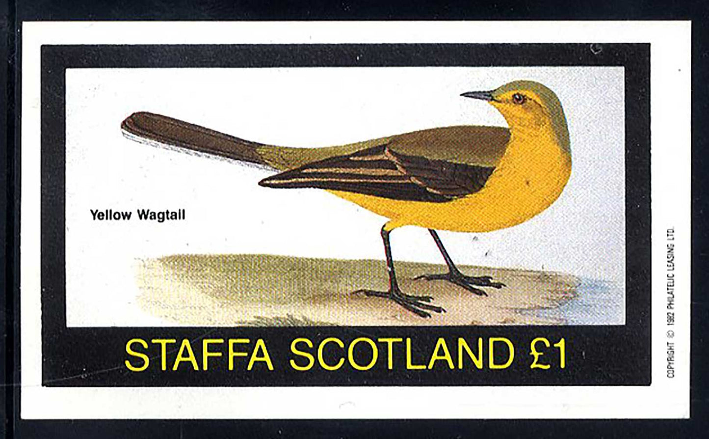 Staffa Colorful Birds £1