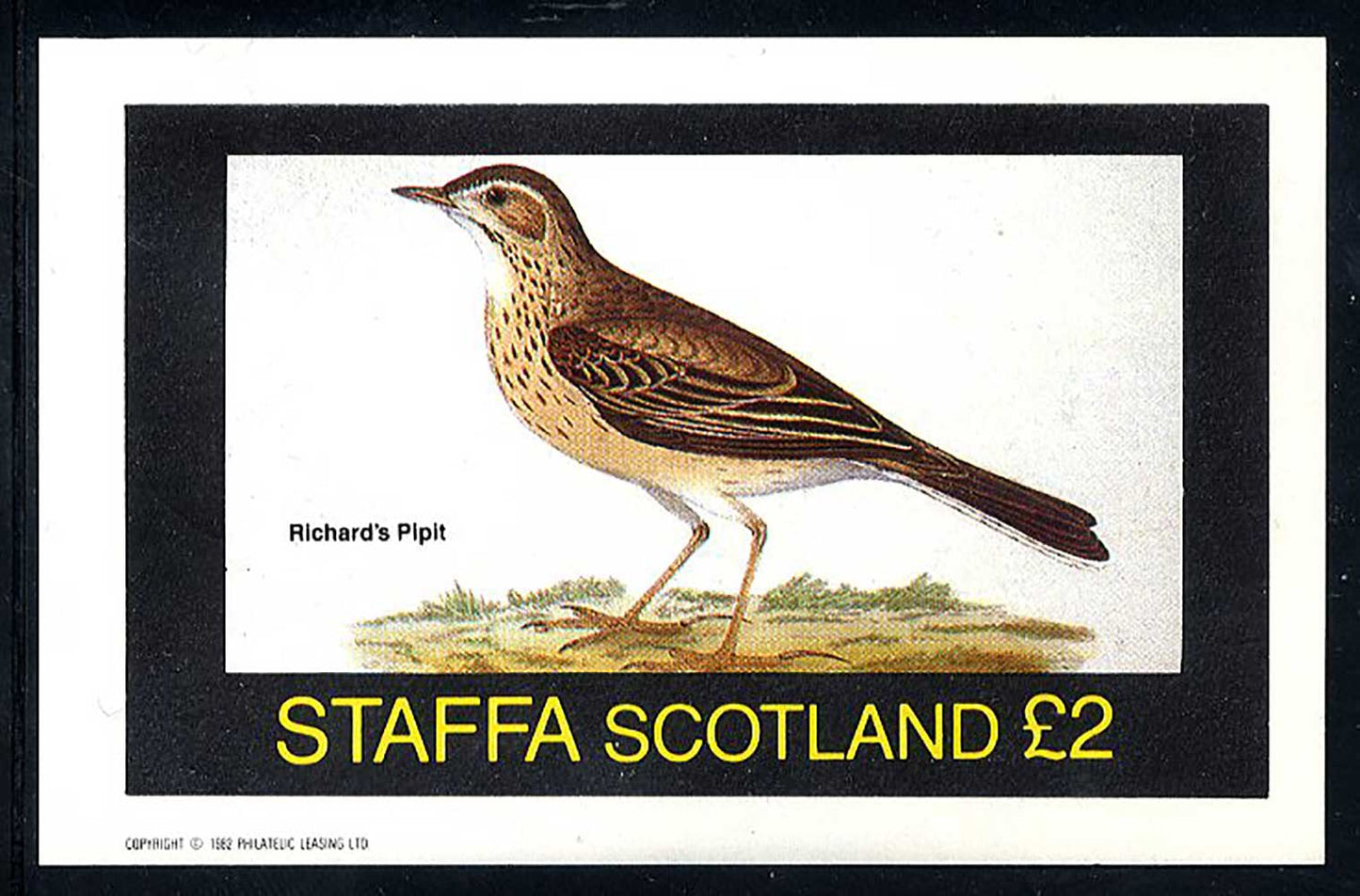 Staffa Colorful Birds £2