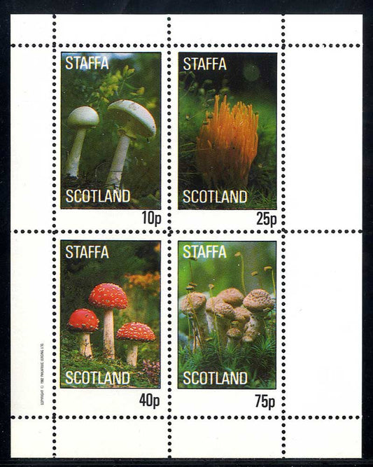 Staffa Fungi