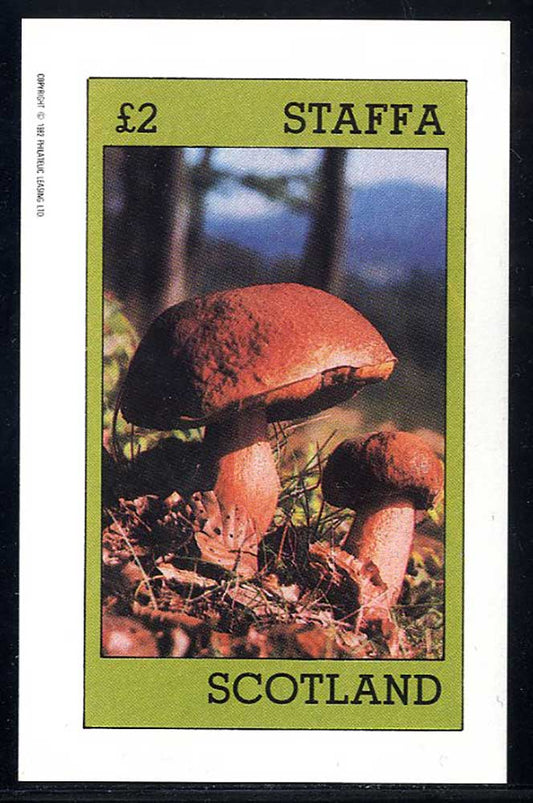 Staffa Fungi £2