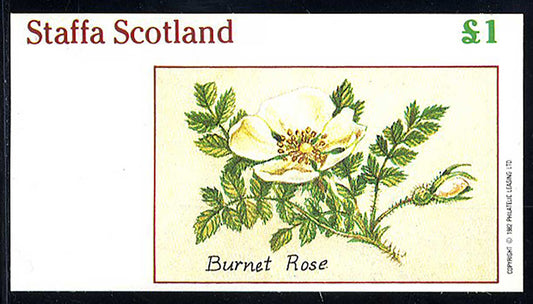 Staffa Wild Roses £1