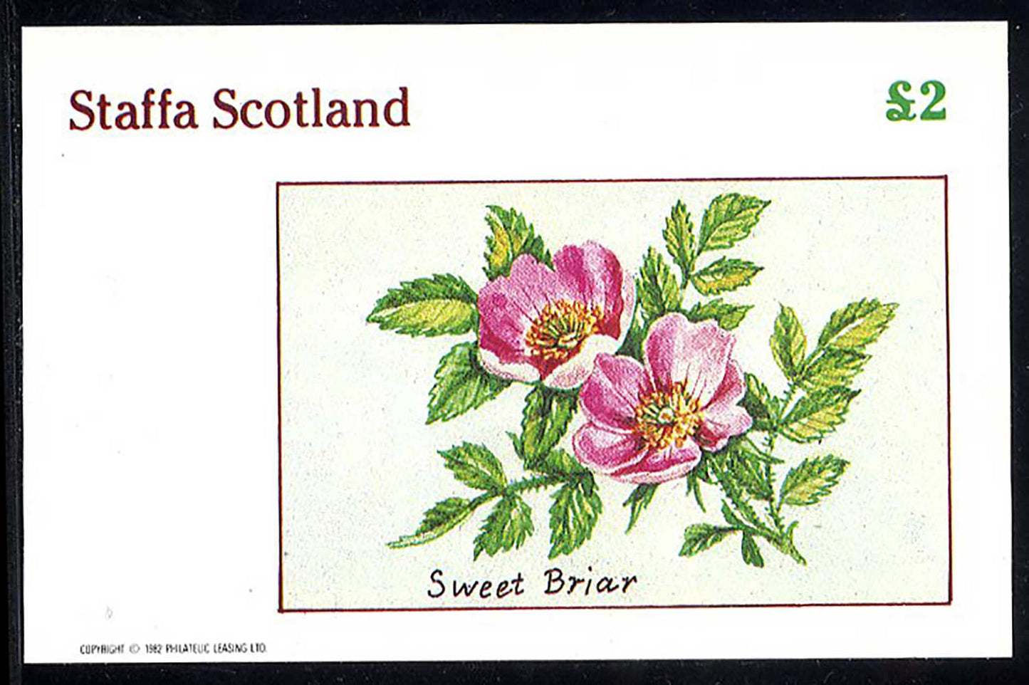 Staffa Wild Roses £2