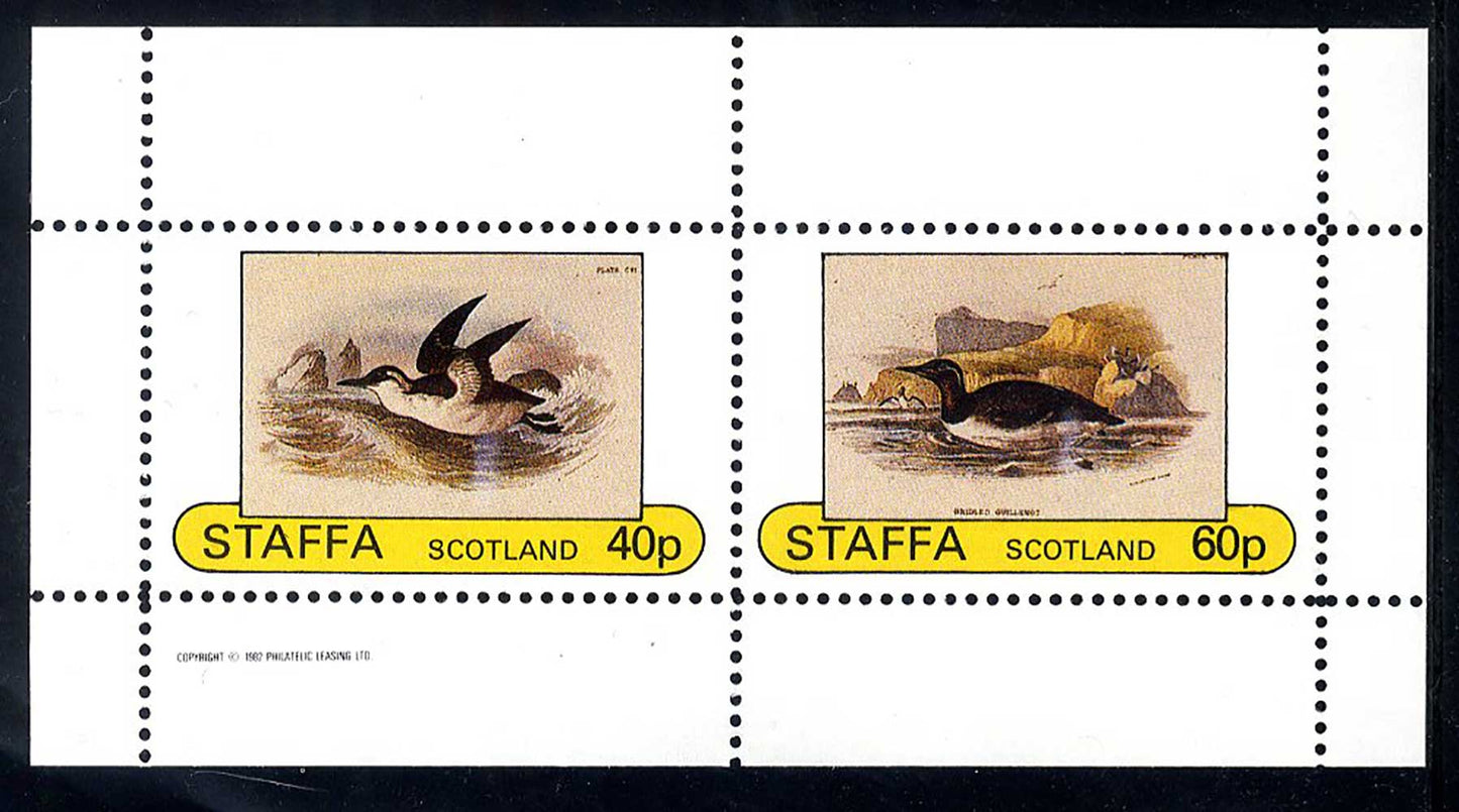 Staffa Seabirds
