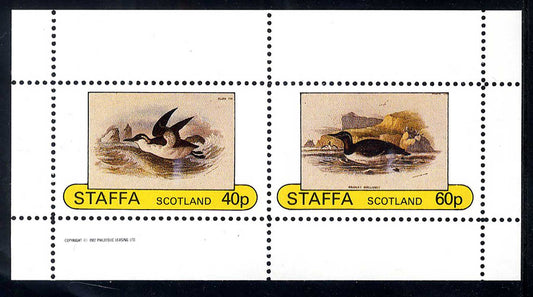 Staffa Seabirds