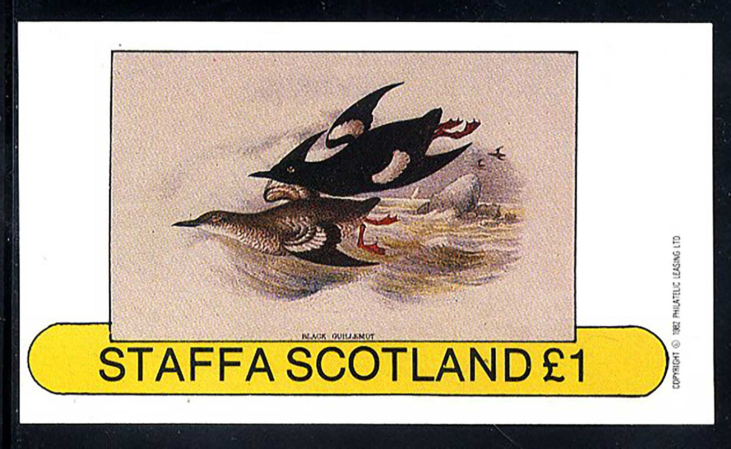 Staffa Seabirds £1