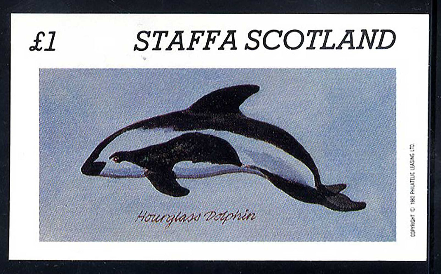 Staffa Dolphins £1