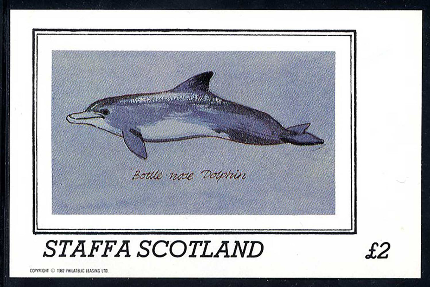 Staffa Dolphins £2