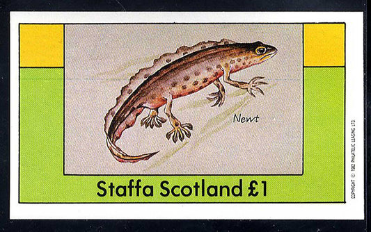 Staffa Pond Life £1