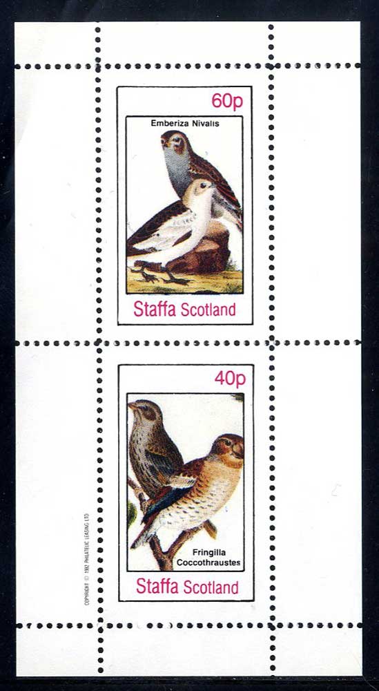 Staffa Birds And Falcons