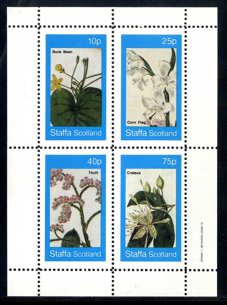 Staffa Mixed Botanical Specimen