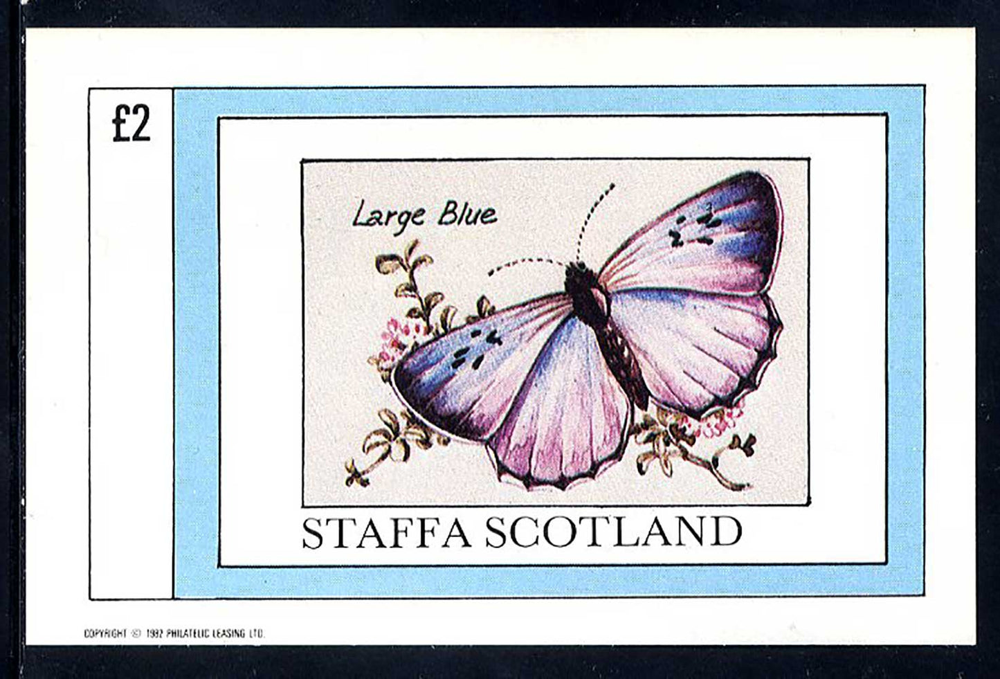Staffa Butterfly Drawings £2