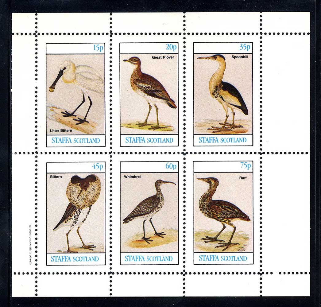 Staffa Images Of British Birds