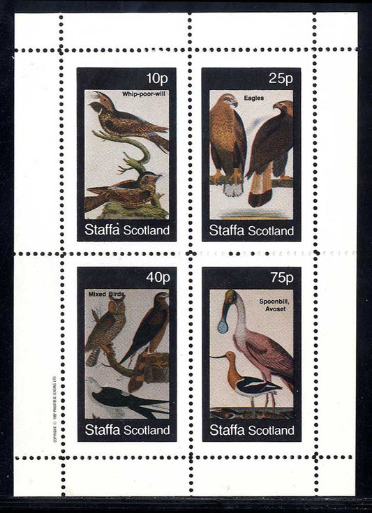 Staffa Ornithology - American
