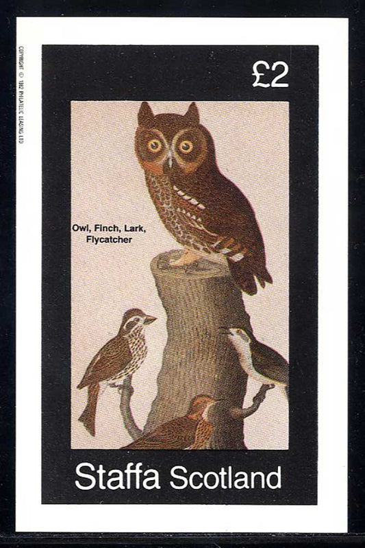 Staffa Ornithology - American £2