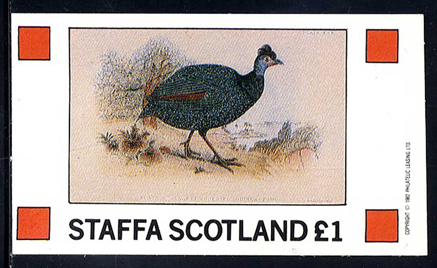 Staffa Exotic Wild Birds £1