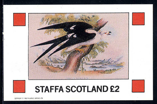 Staffa Exotic Wild Birds £2
