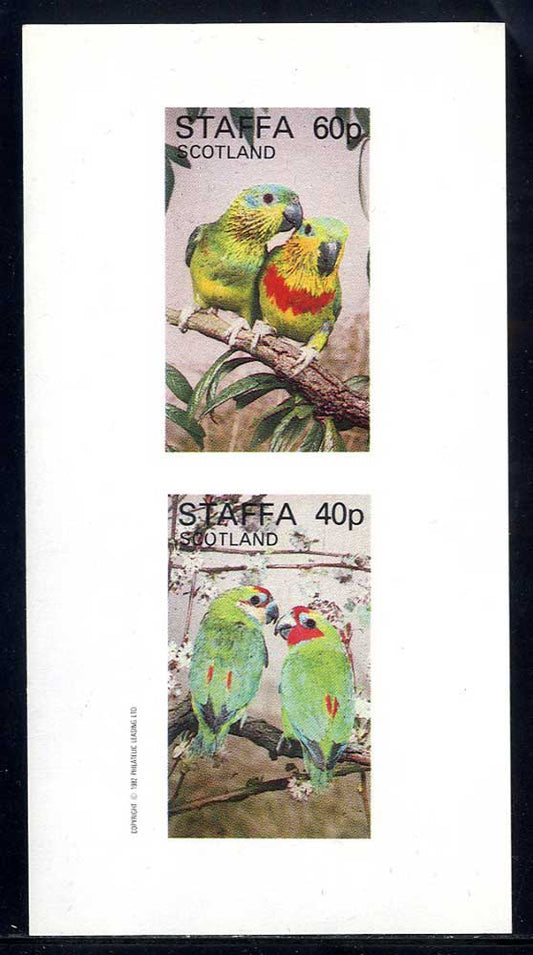 Staffa Parakeets Imperf