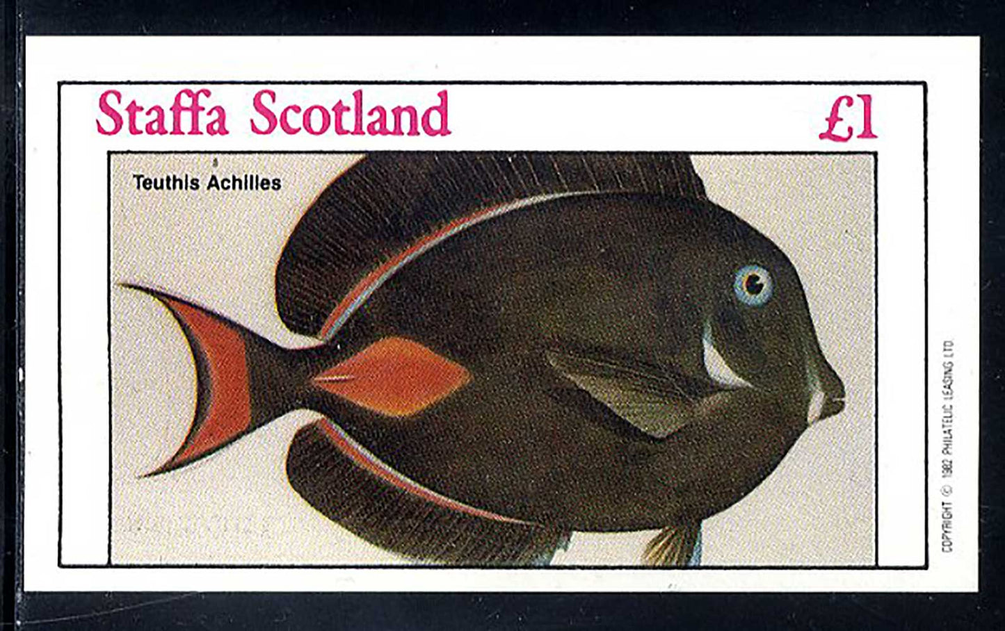 Staffa Magnificient Fish £1