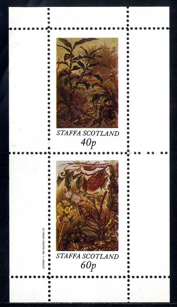 Staffa Insects
