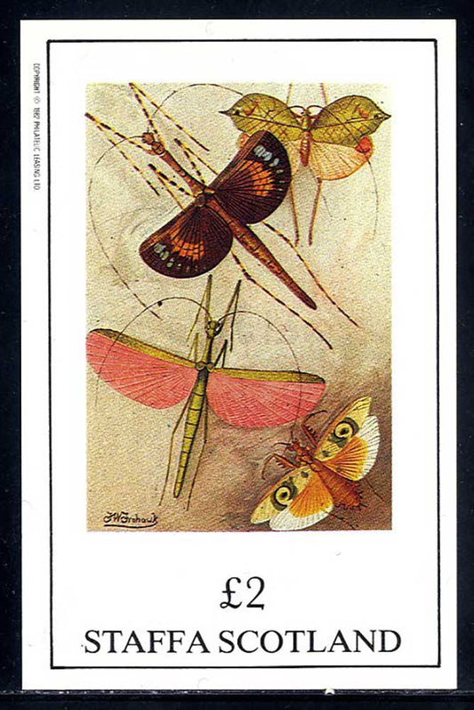 Staffa Insects £2